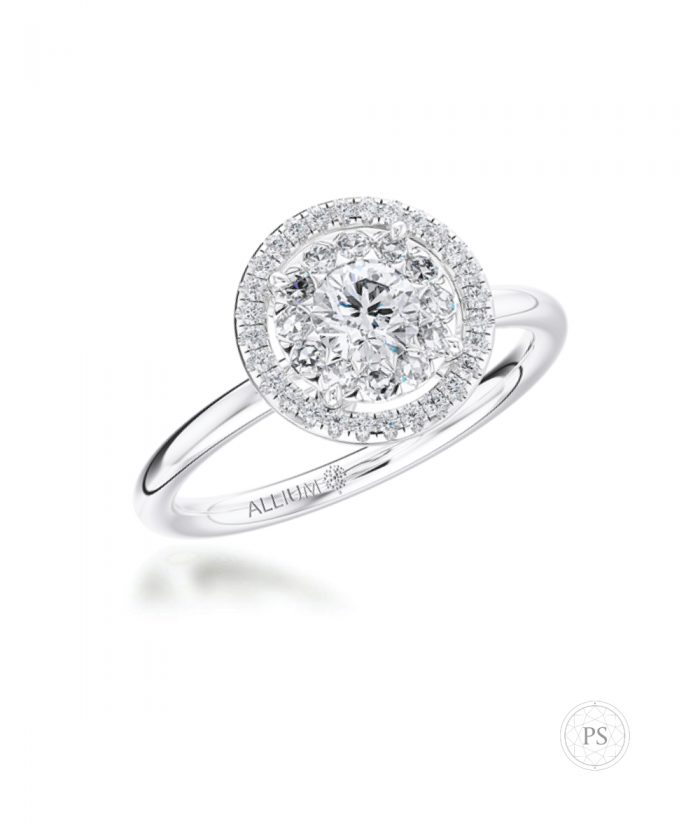 Allium Illusion Set Diamond Halo Ring with Plain Band