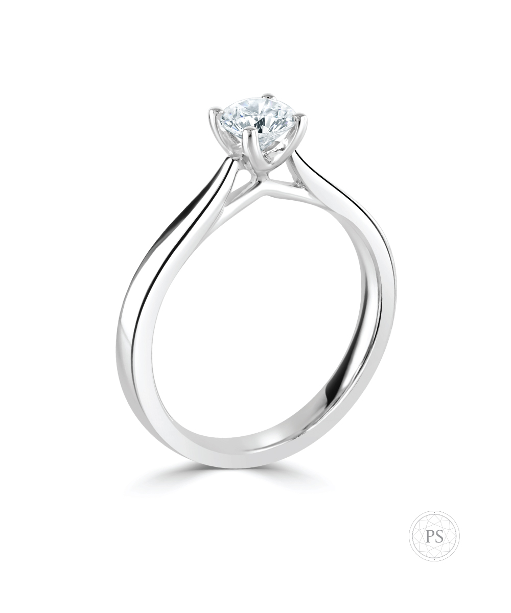 Platinum 0.30ct Cathedral Round Brilliant Diamond Ring - Side