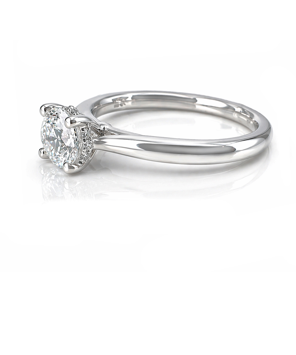 Platinum 0.70ct Round Brilliant Cut Diamond Ring with Hidden Halo - Side Detail
